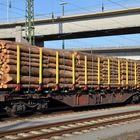 Holz trifft Containerwagen