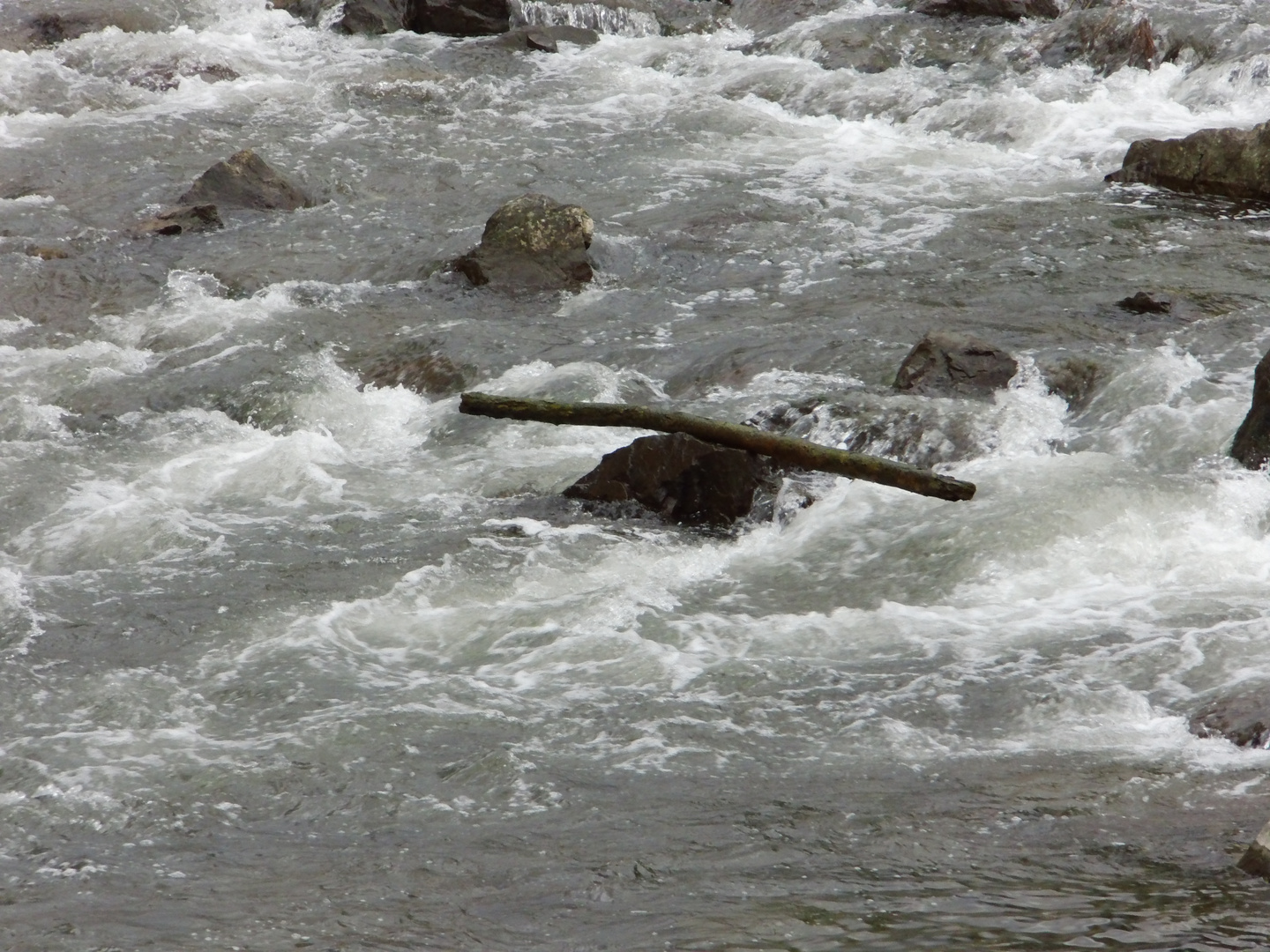 Holz über Wasser