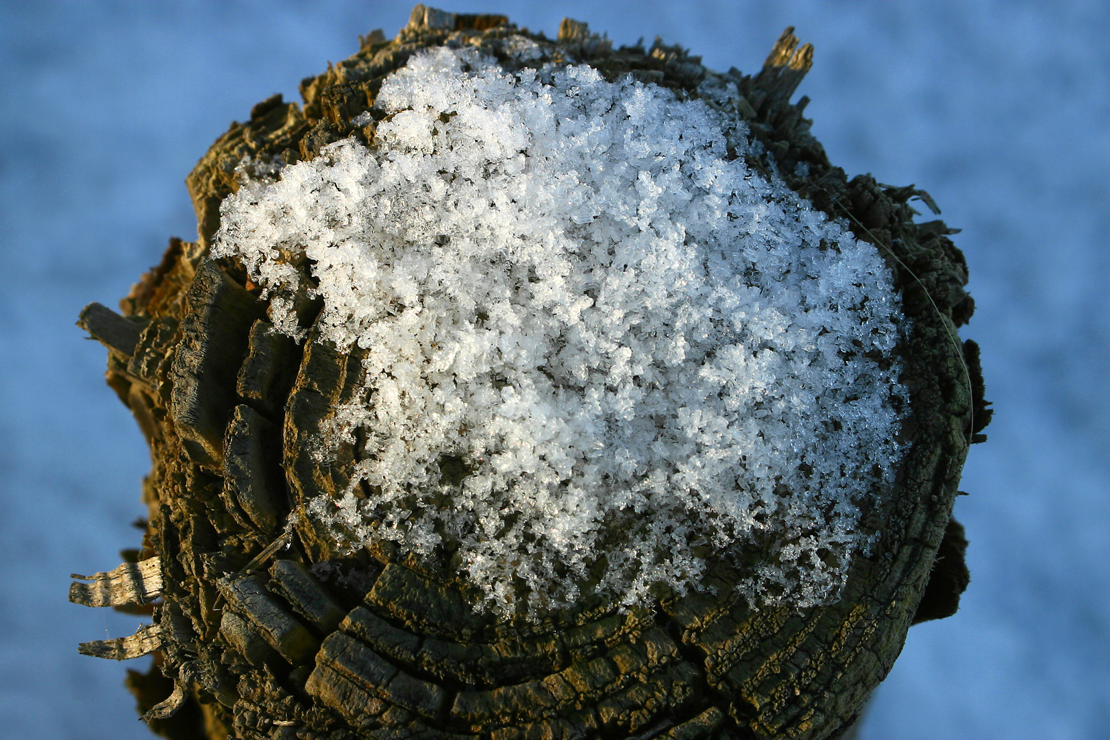 Holz und Eis