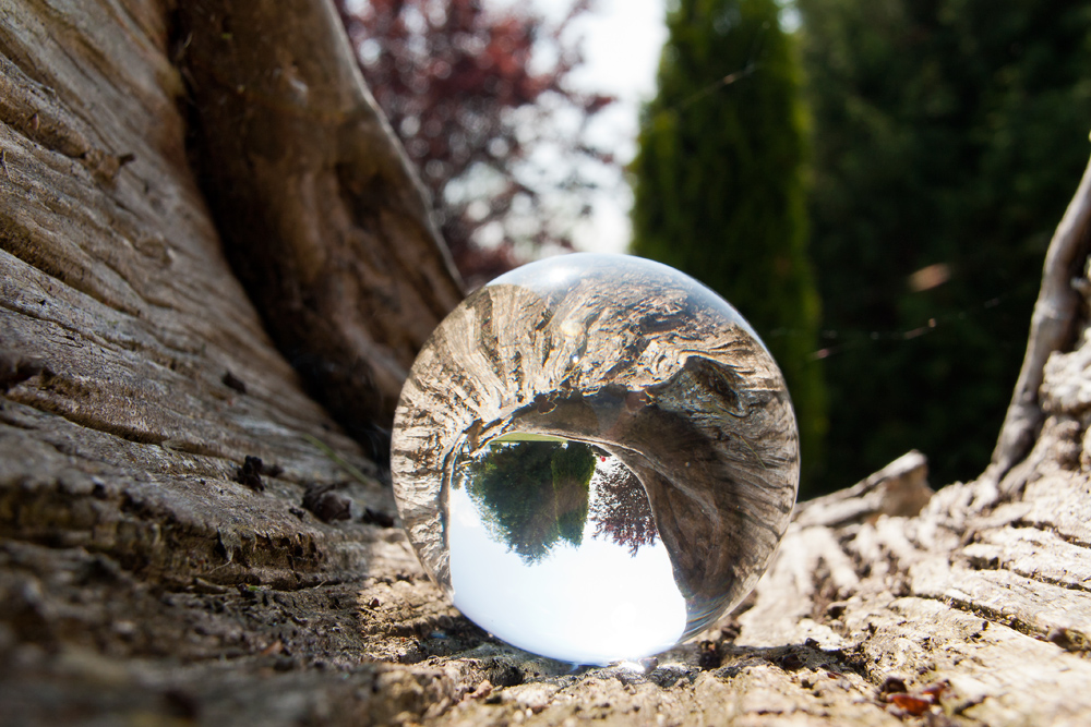 Holz und Glas