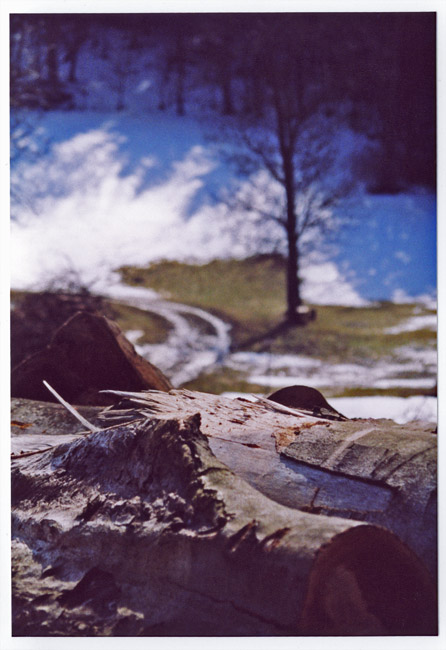 holz und holz wenn der schnee schmilzt