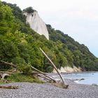 HOLZ und KREIDE am Strand Ruegen