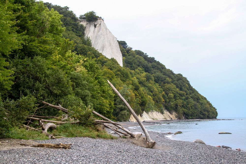 HOLZ und KREIDE am Strand Ruegen