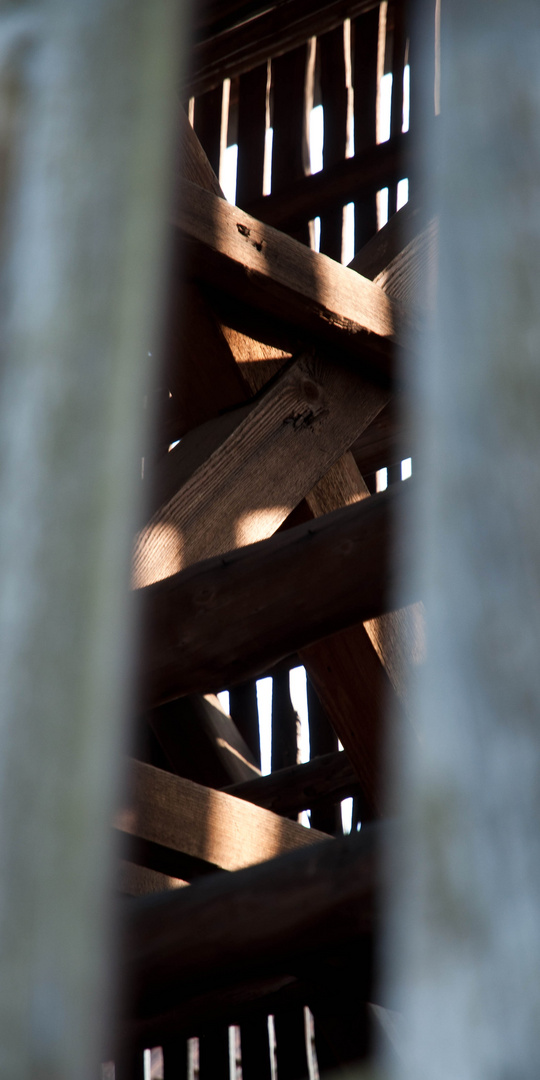 holz und licht