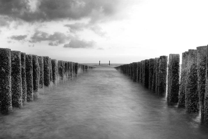 Holz und Meer 2