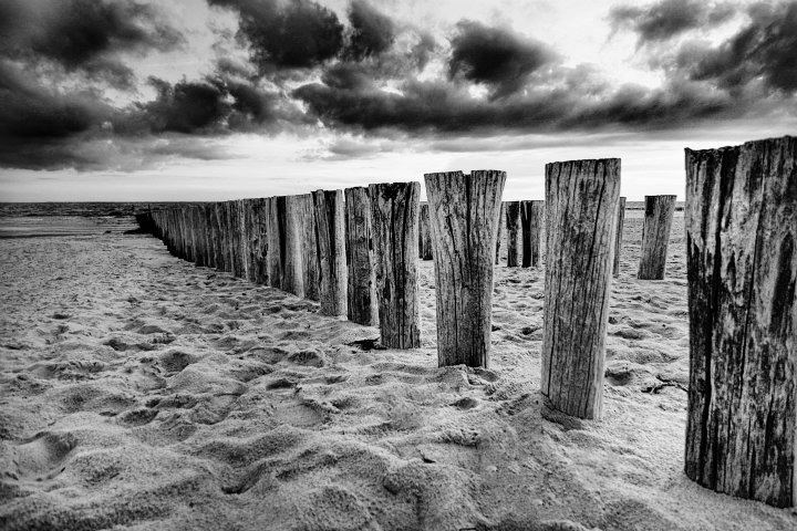 Holz und Meer