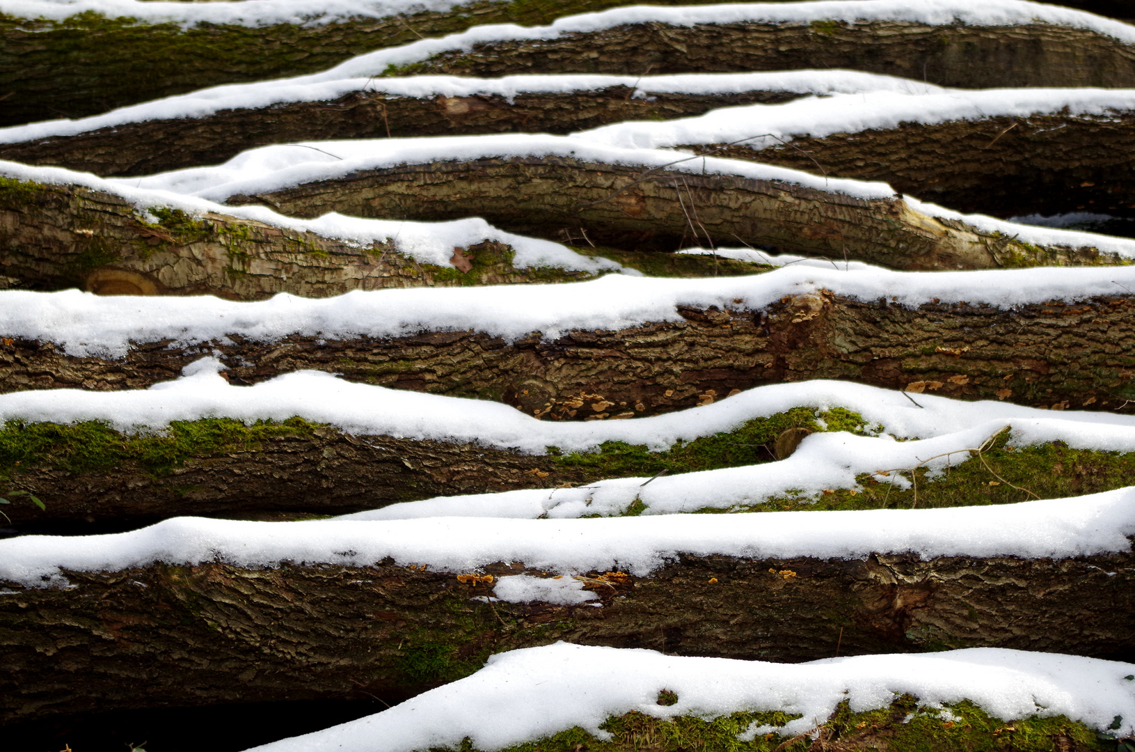 Holz und Schnee