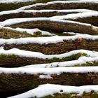 Holz und Schnee