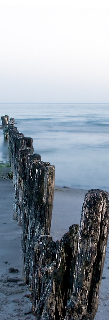 Holz und Wasser