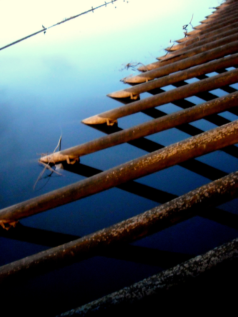 Holz und Wasser