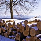 Holz unter der Burg