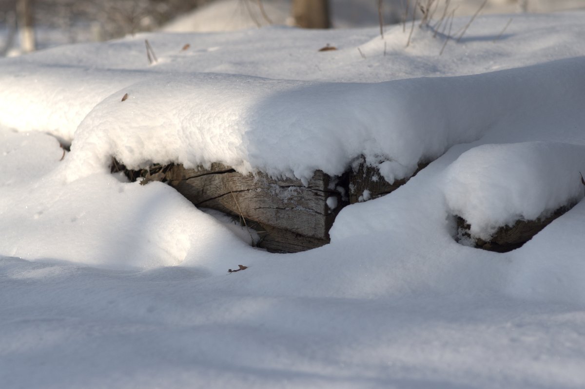 Holz unter Schnee