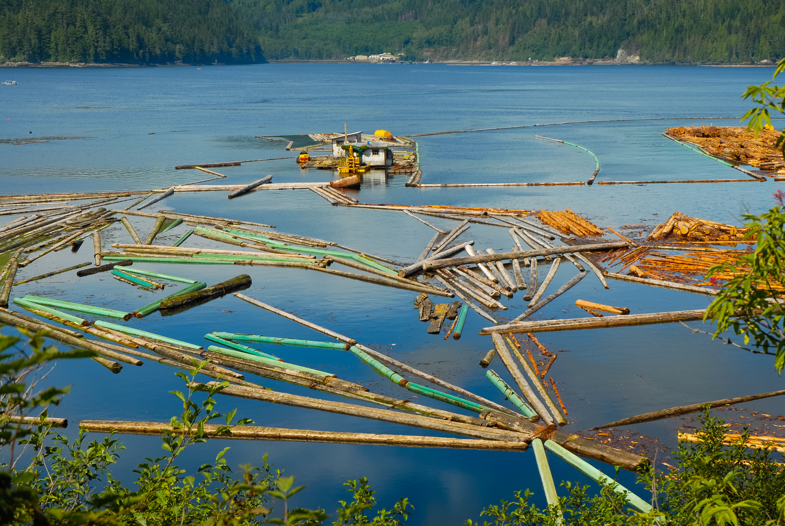 Holz Verarbeitung