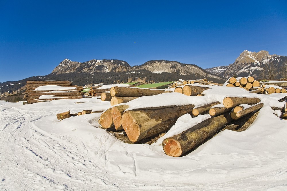 Holz vor de Hütten...