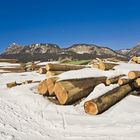 Holz vor de Hütten...