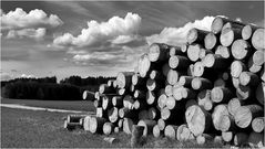 holz vor de hütt'n