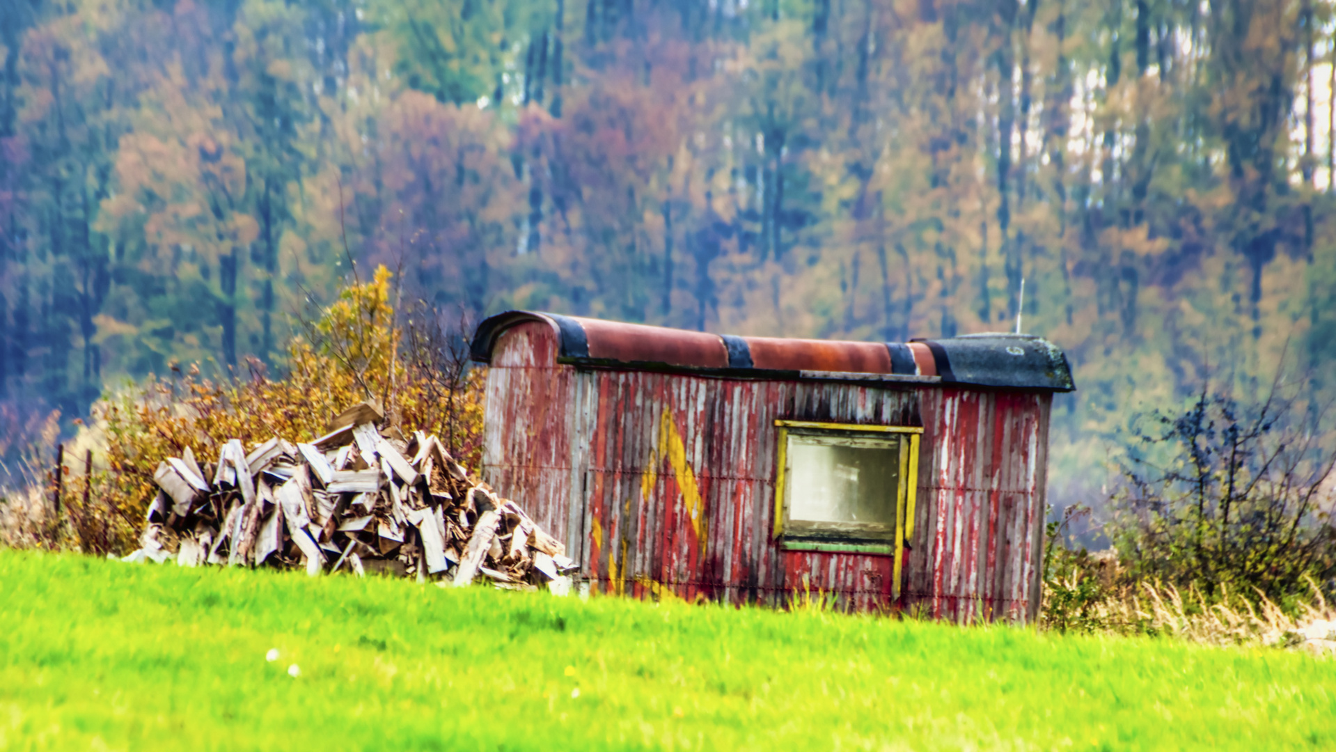 Holz vor der "Blech"hütte