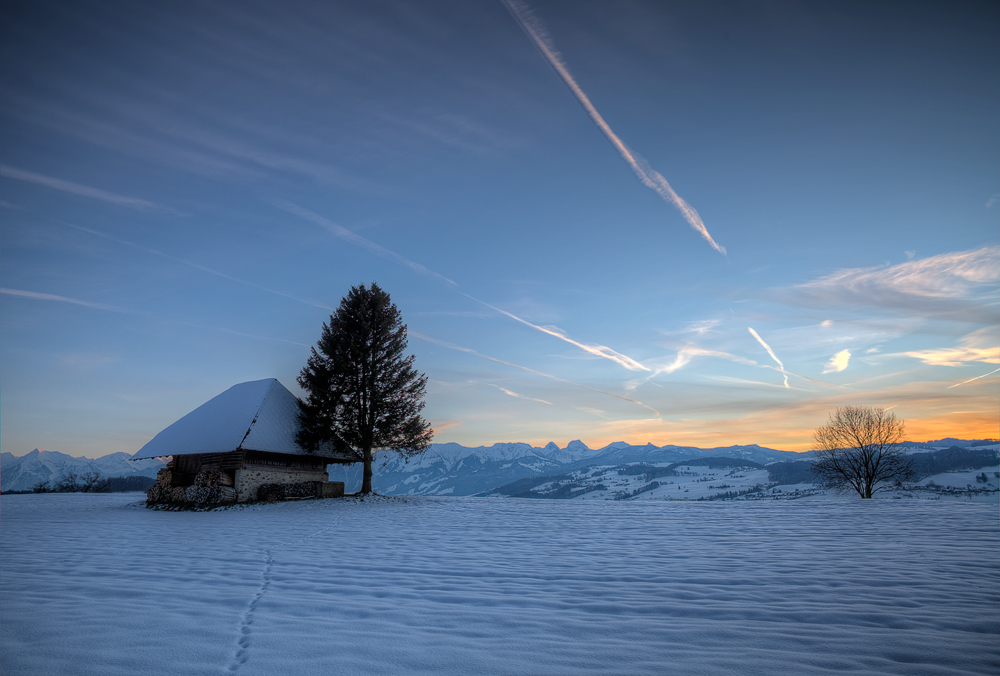 Holz vor der Hütte