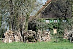 Holz vor der Hütte