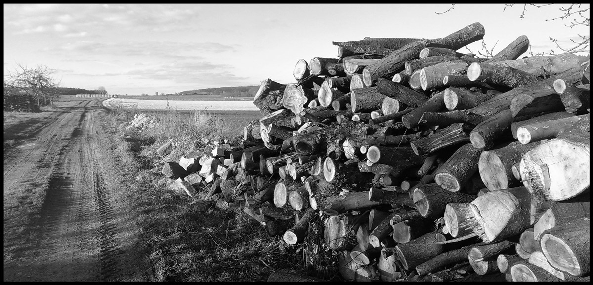 Holz vor der Hütte