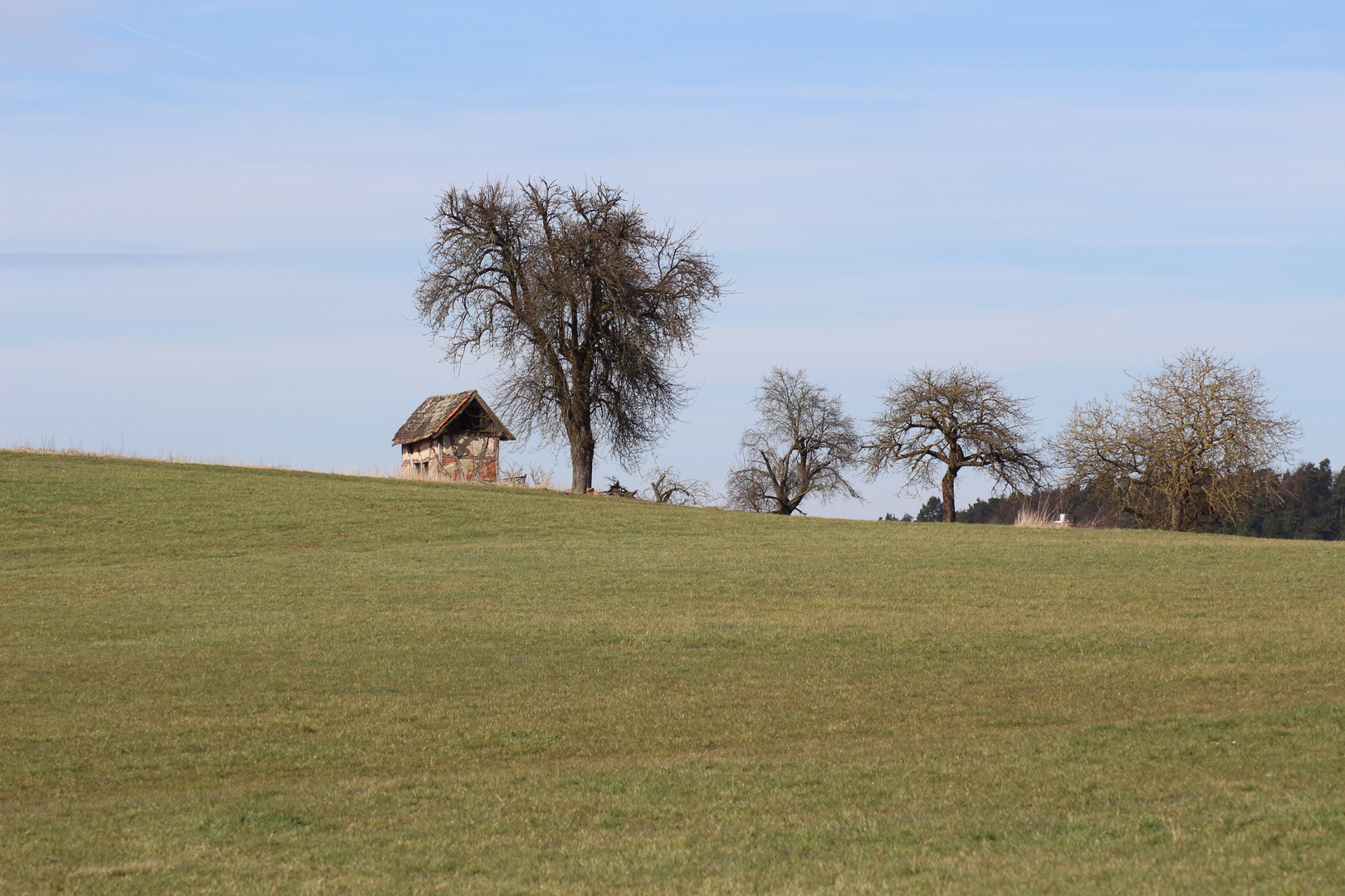 Holz vor der Hütte...