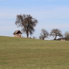 Holz vor der Hütte...