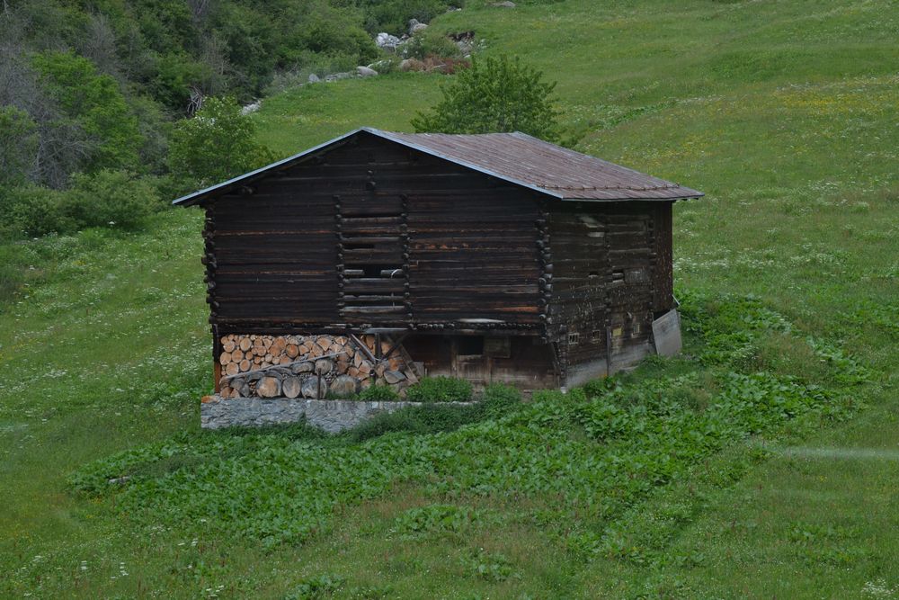 "Holz vor der Hütte"