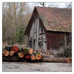 Holz vor der Hütte