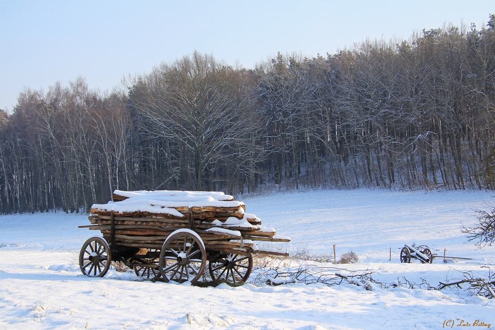 Holz vor der Hütte