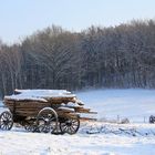 Holz vor der Hütte