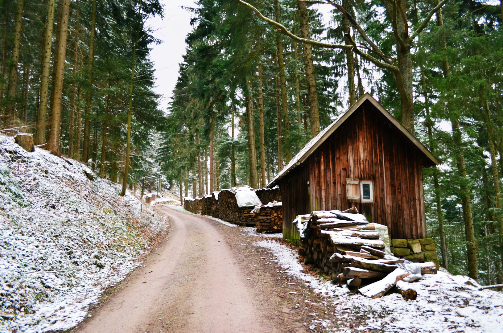 Holz vor der Hütte