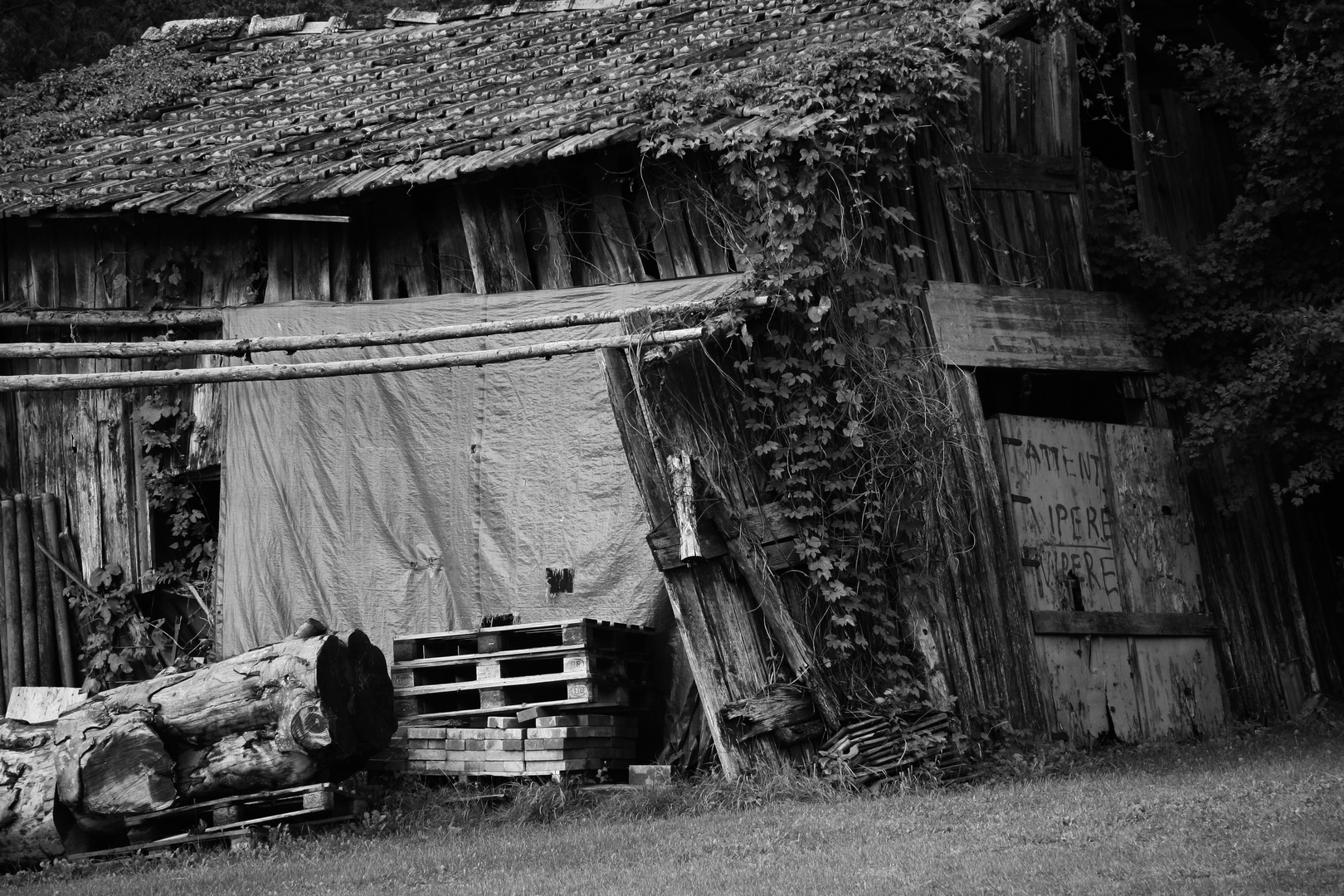 Holz vor der Hütte