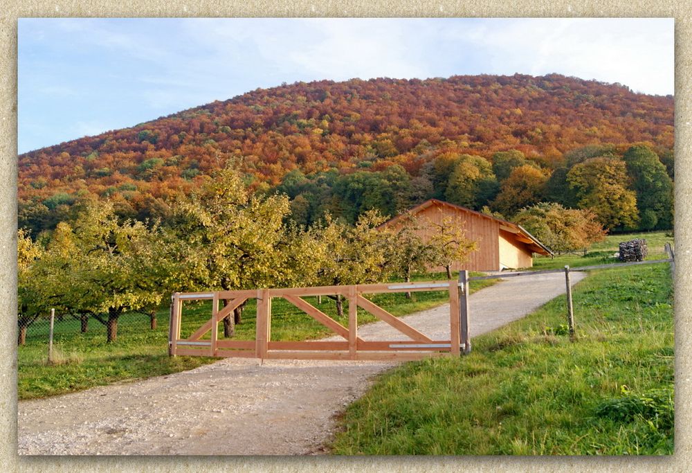 Holz vor der Hütte