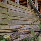 Holz vor der Hütte