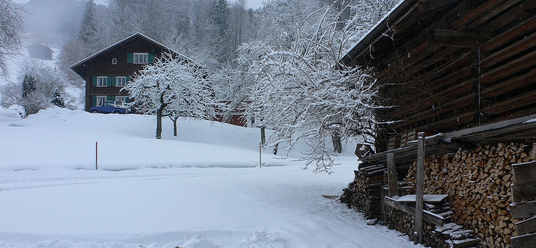 ...Holz vor der Hütte...