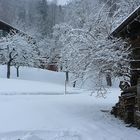 ...Holz vor der Hütte...