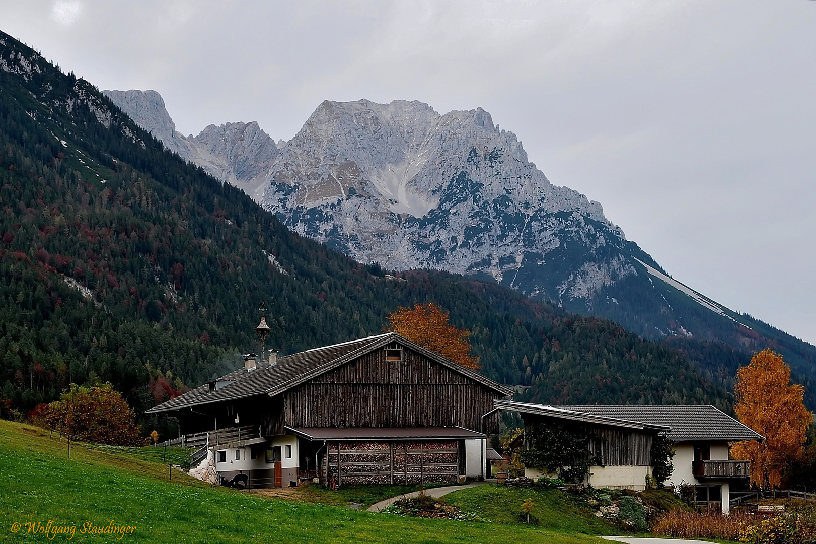 Holz vor der Hütte