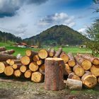 Holz vor der Hütte