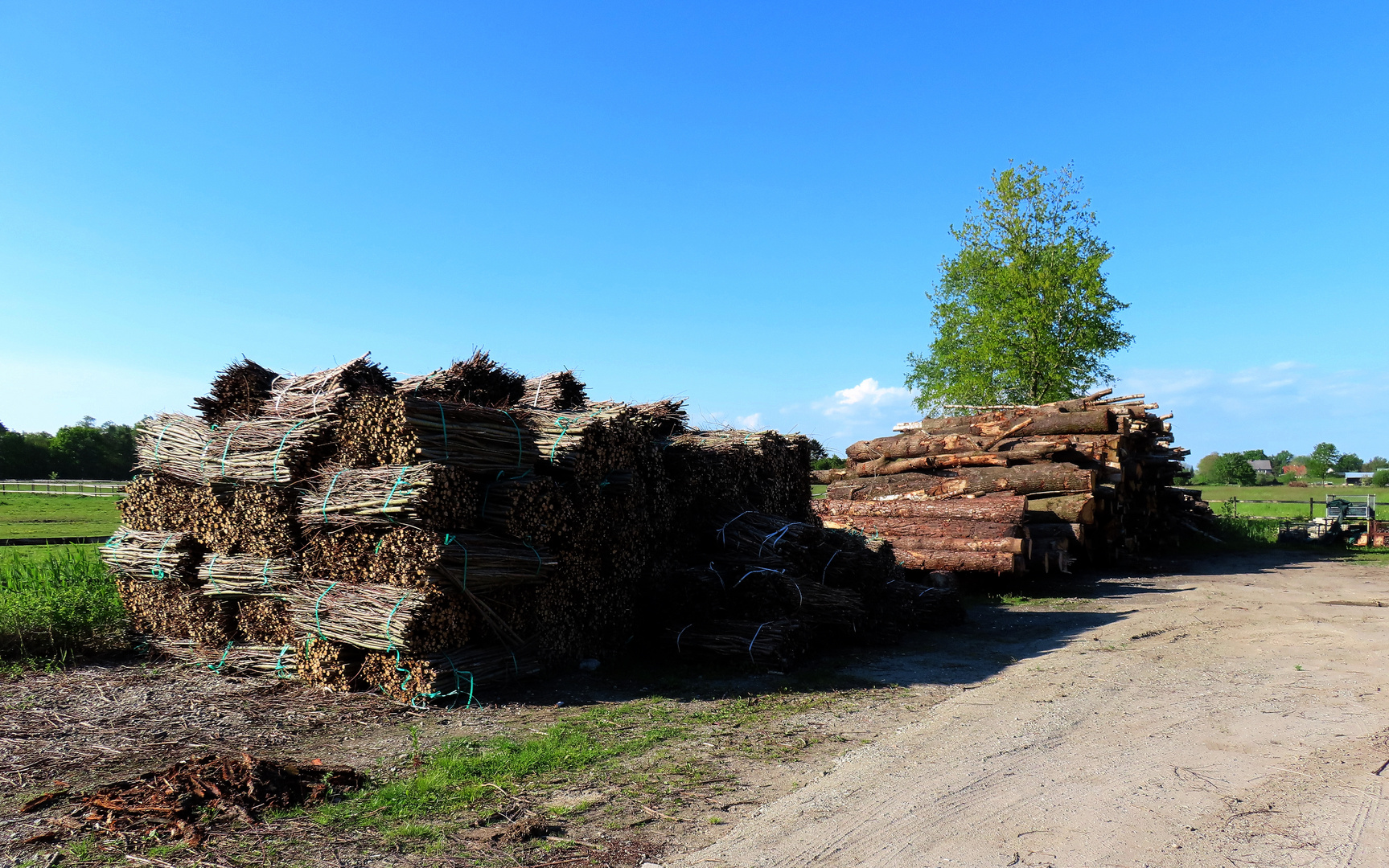 Holz vor der Hütte 