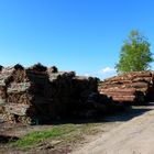 Holz vor der Hütte 