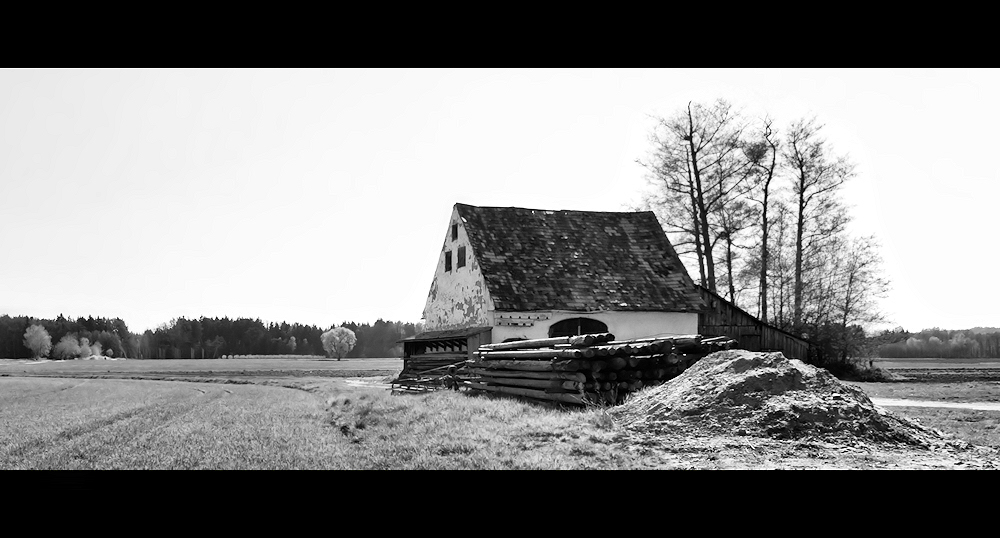 Holz vor der Hütte