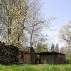 Holz vor der Hütte