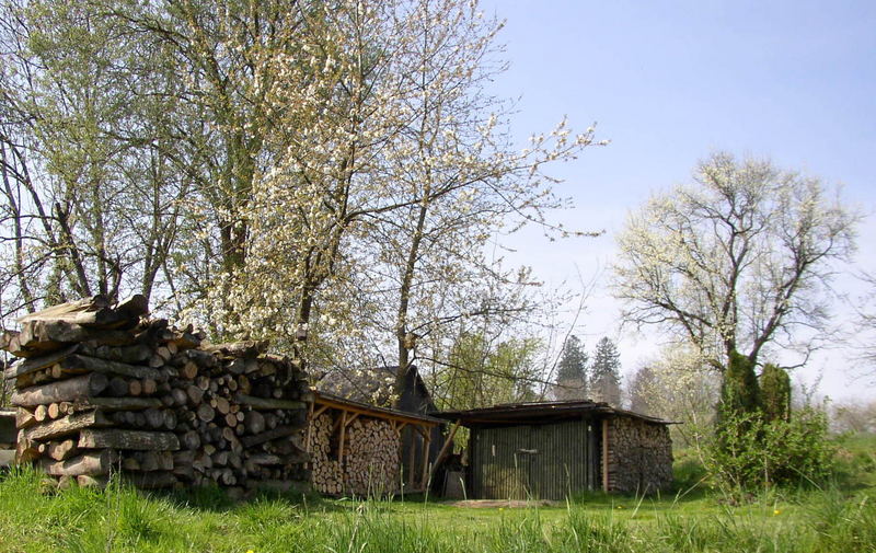 Holz vor der Hütte