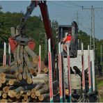 Holz vor der Hütte II