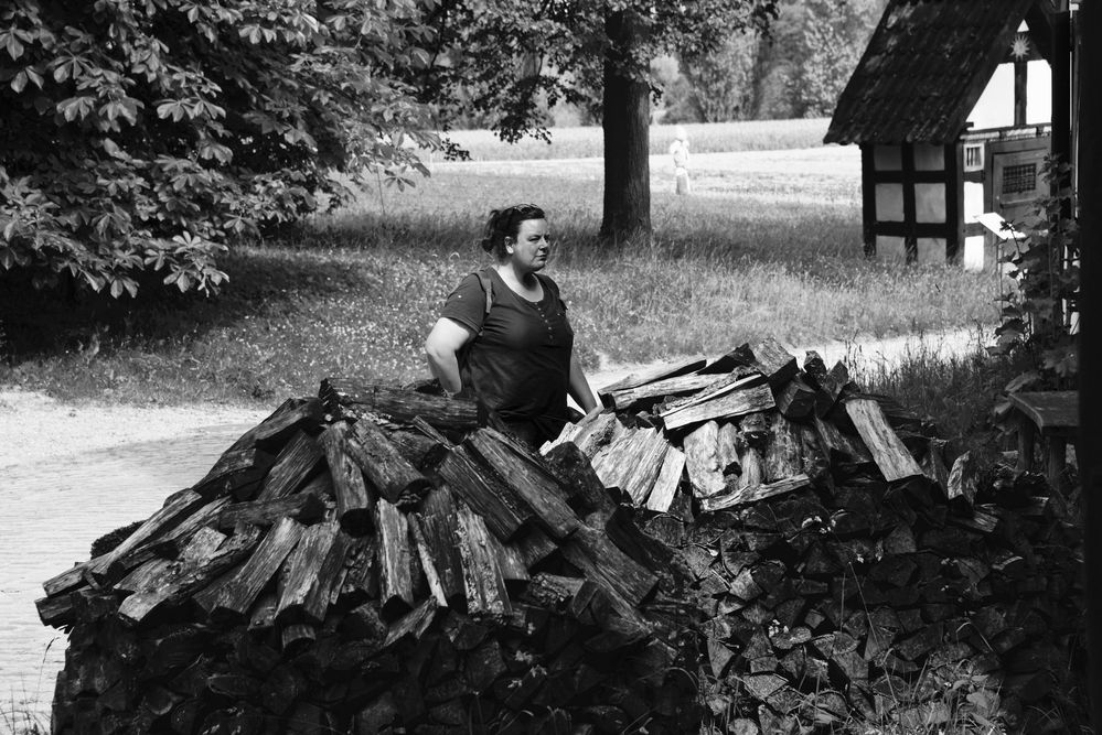 Holz vor der Hütte im Sommer Foto & Bild | street, dokumentation