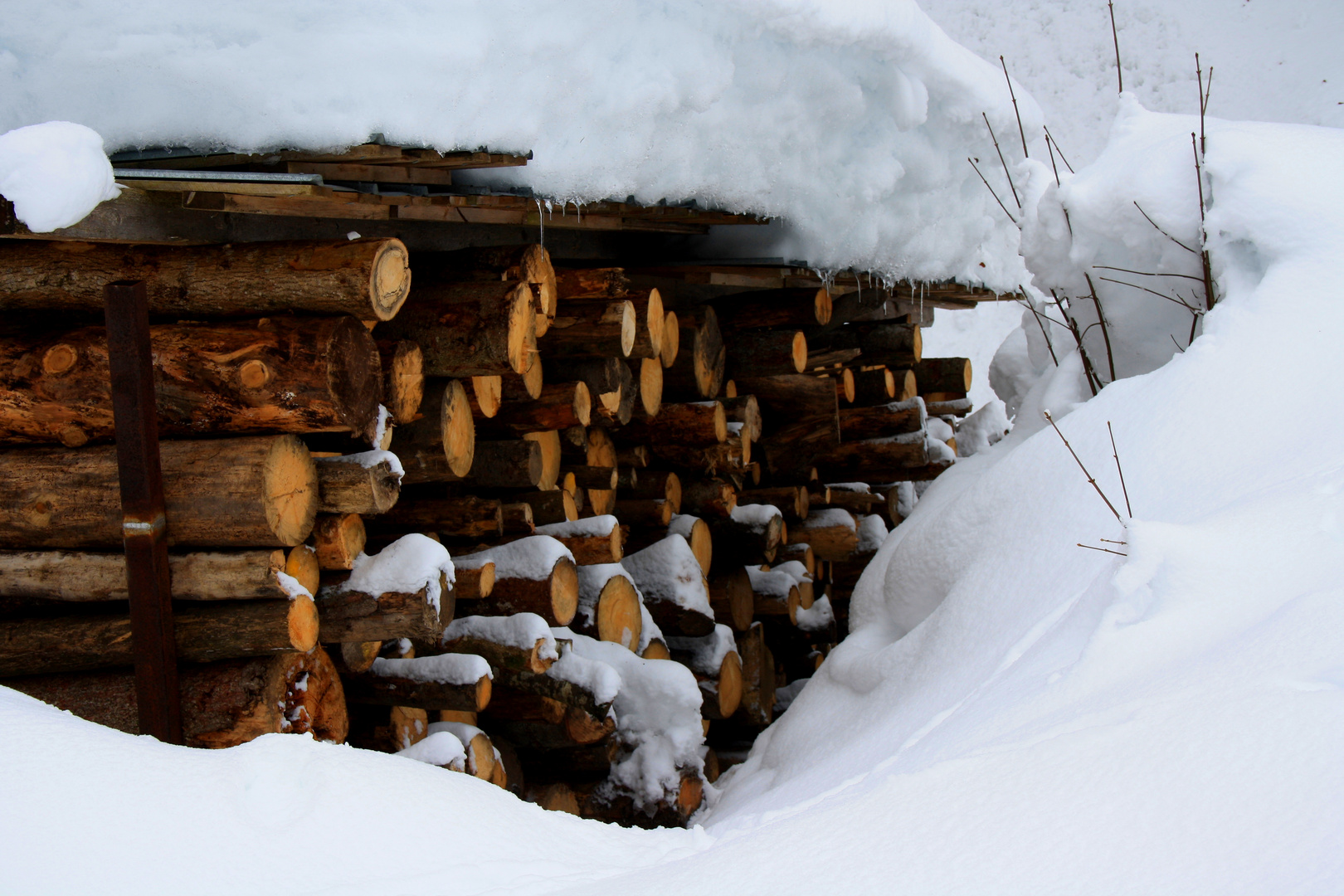 Holz vor der Hütten