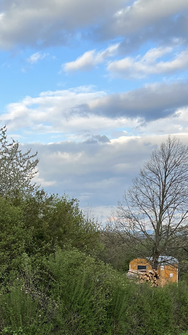 Holz vor der Hütten