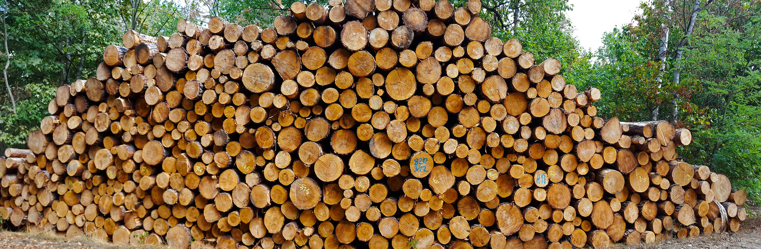 Holz vor der Hütt´n