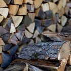 Holz vor der Hütt'n