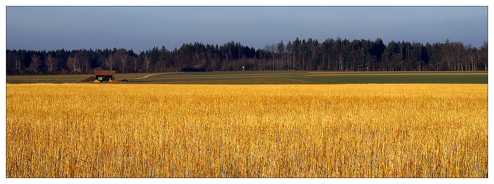 Holz vor der Hüttn